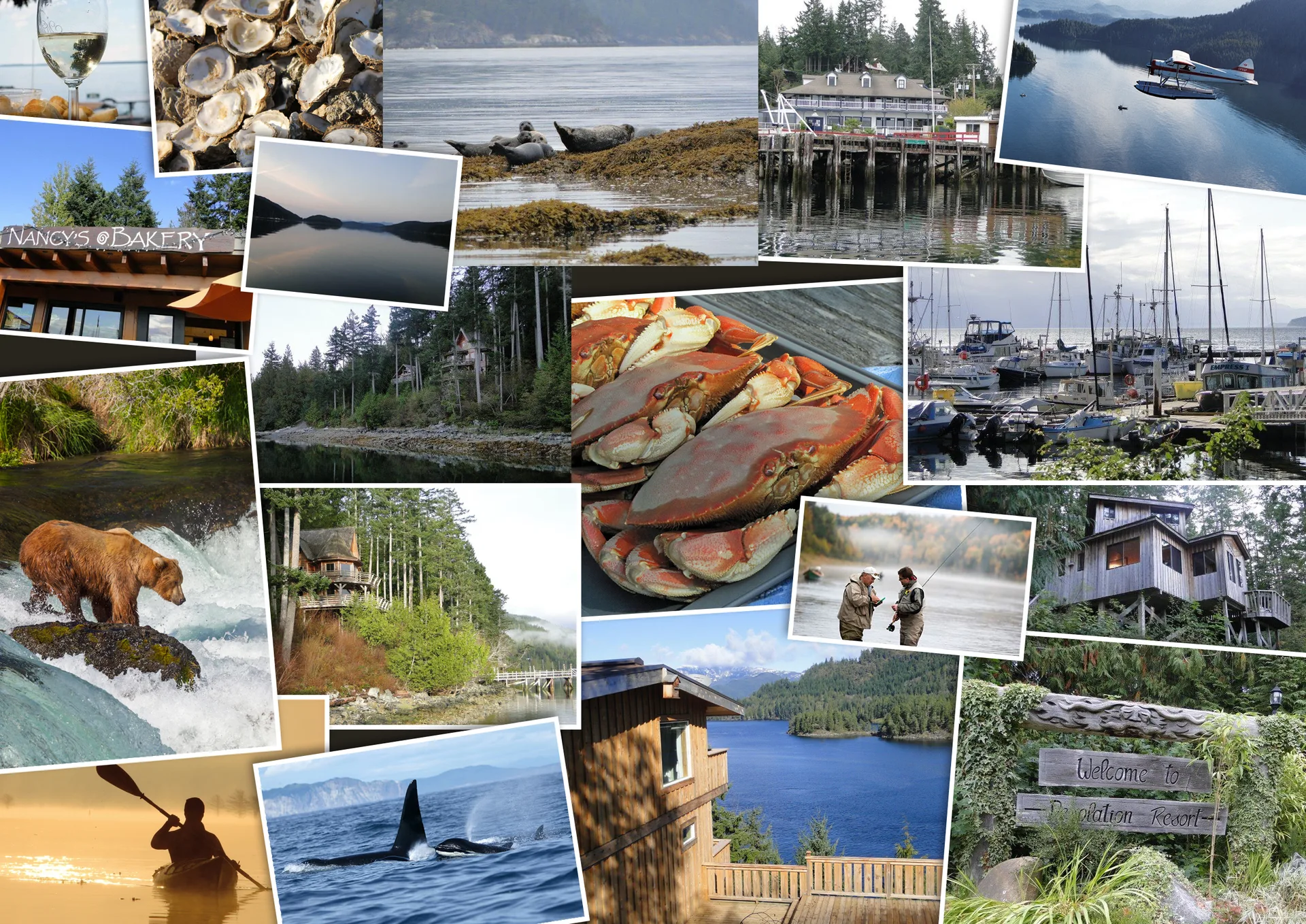 Desolation Sound Marine Park aerial view, Sunshine Coast BC